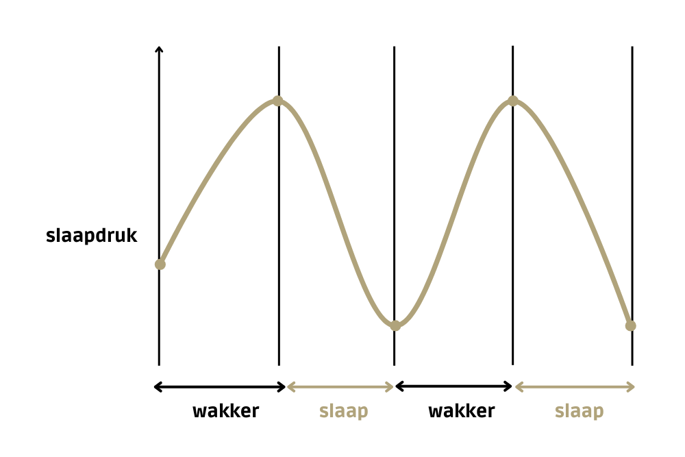 waarom is slapen belangrijk